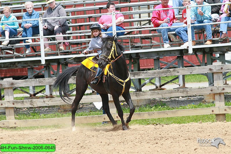 4H-Fun-Show-2006-0845.jpg