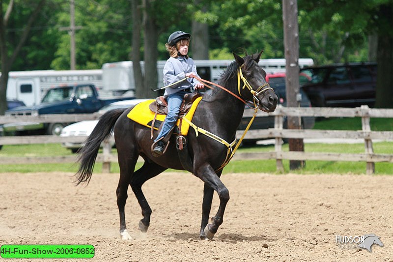 4H-Fun-Show-2006-0852.jpg