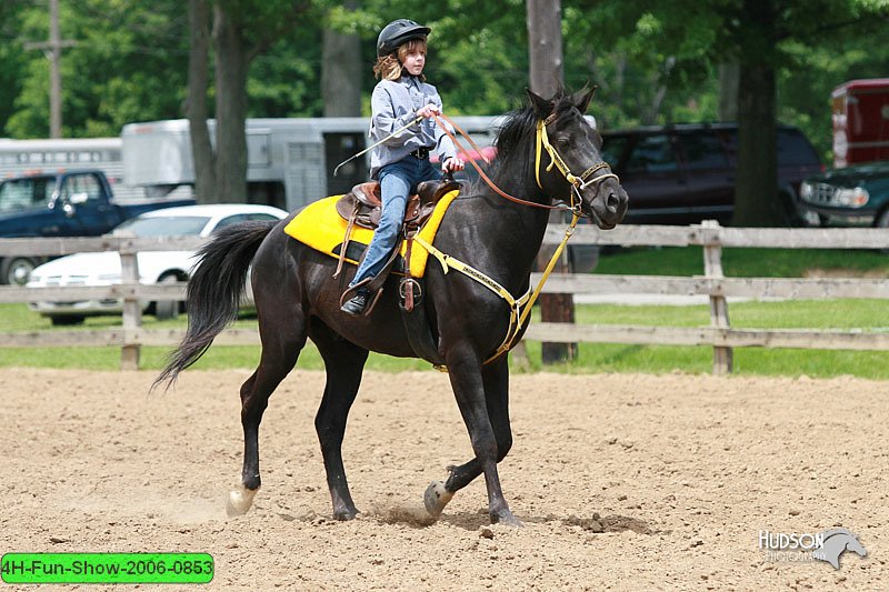 4H-Fun-Show-2006-0853.jpg