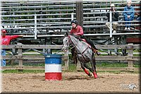 4H-Fun-Show-2006-0536.jpg