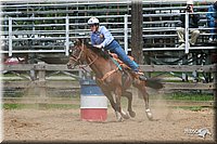 4H-Fun-Show-2006-0559.jpg