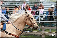 4H-Fun-Show-2006-0583.jpg