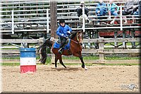 4H-Fun-Show-2006-0781.jpg