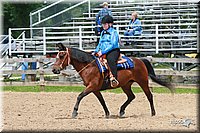 4H-Fun-Show-2006-0800.jpg