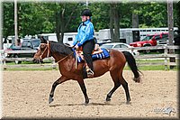 4H-Fun-Show-2006-0801.jpg