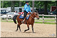 4H-Fun-Show-2006-0806.jpg