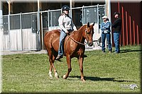 4H-Fun-Show-2006-1510.jpg