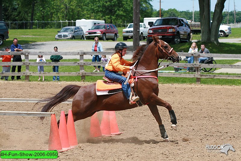 4H-Fun-Show-2006-0950.jpg