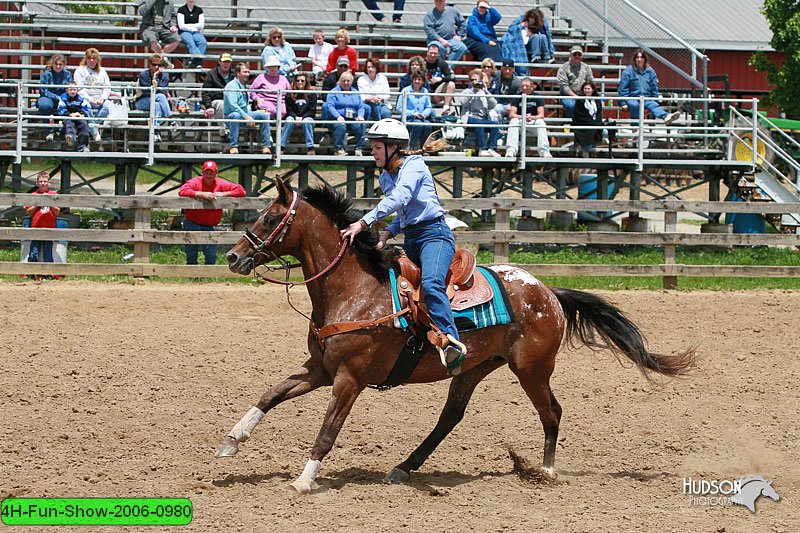 4H-Fun-Show-2006-0980.jpg