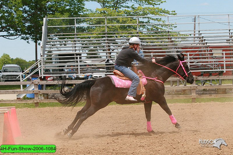 4H-Fun-Show-2006-1084.jpg