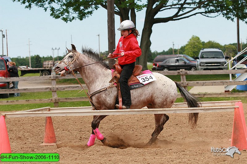 4H-Fun-Show-2006-1110.jpg