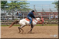 4H-Fun-Show-2006-1091.jpg