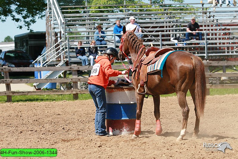 4H-Fun-Show-2006-1344.jpg