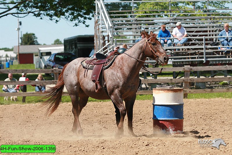 4H-Fun-Show-2006-1356.jpg