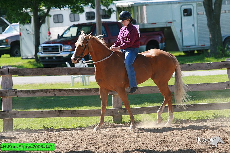 4H-Fun-Show-2006-1471.jpg