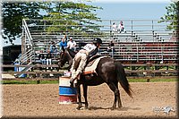 4H-Fun-Show-2006-1334.jpg