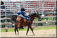 4H-Fun-Show-2006-1353.jpg