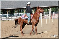 4H-Fun-Show-2006-1577.jpg