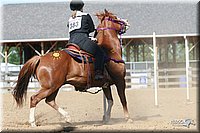 4H-Fun-Show-2006-1712.jpg