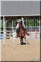 4H-Fun-Show-2006-1713.jpg