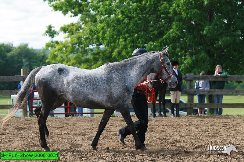 4H-Fun-Show-2006-0031.jpg