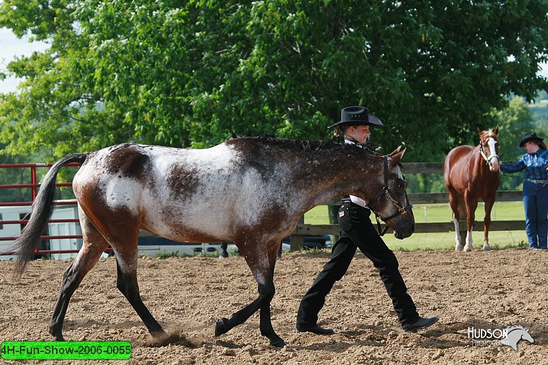 4H-Fun-Show-2006-0055.jpg