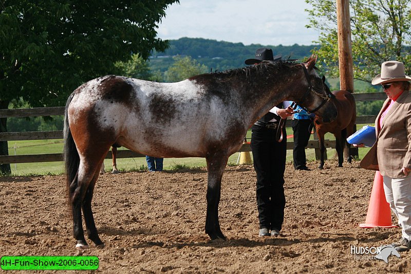 4H-Fun-Show-2006-0056.jpg