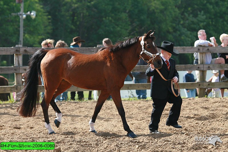 4H-Fun-Show-2006-0060.jpg