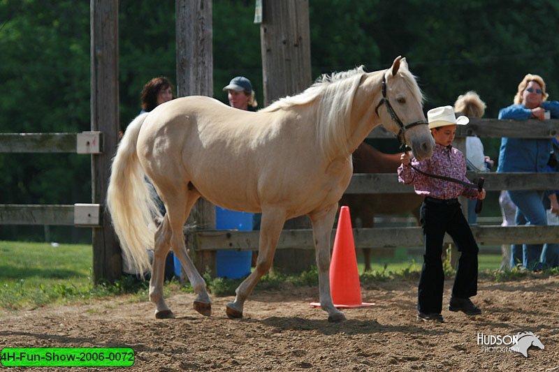 4H-Fun-Show-2006-0072.jpg