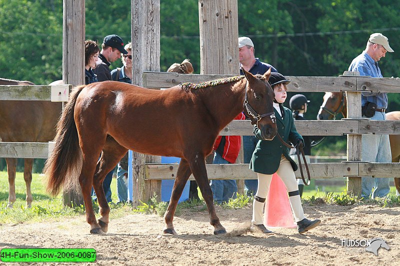 4H-Fun-Show-2006-0087.jpg