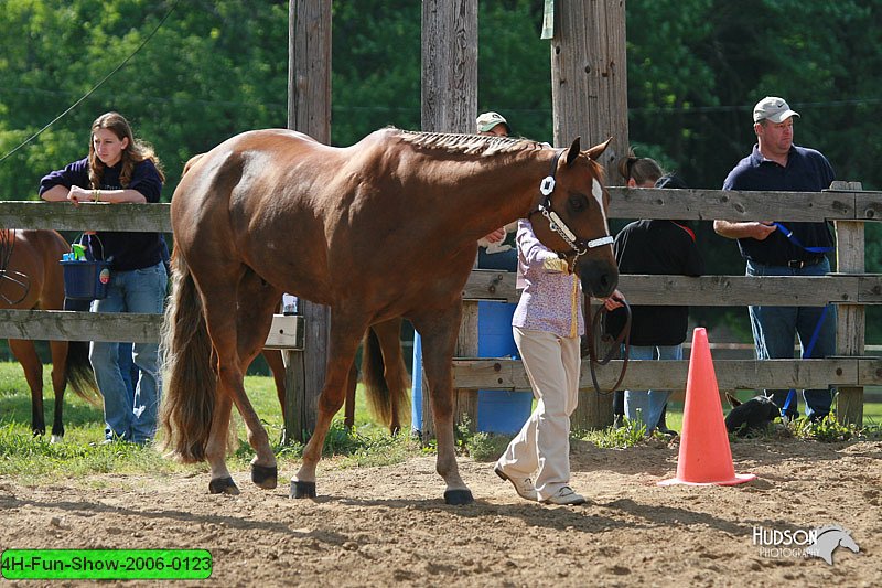 4H-Fun-Show-2006-0123.jpg