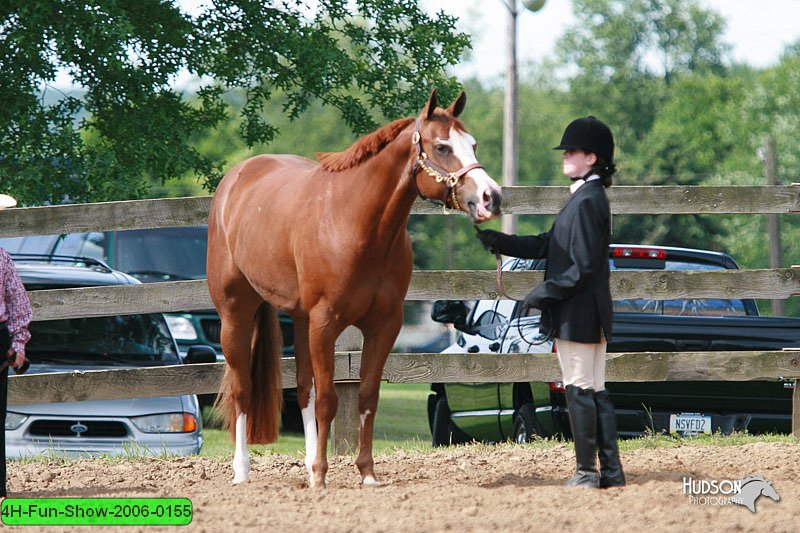 4H-Fun-Show-2006-0155.jpg