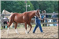 4H-Fun-Show-2006-0026.jpg