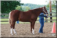 4H-Fun-Show-2006-0027.jpg