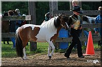 4H-Fun-Show-2006-0034.jpg