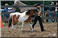 4H-Fun-Show-2006-0035.jpg