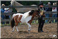 4H-Fun-Show-2006-0036.jpg