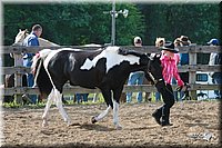 4H-Fun-Show-2006-0037.jpg