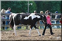 4H-Fun-Show-2006-0038.jpg