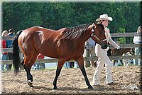 4H-Fun-Show-2006-0040.jpg