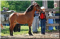 4H-Fun-Show-2006-0043.jpg