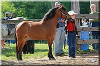 4H-Fun-Show-2006-0044.jpg