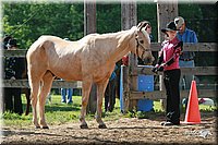 4H-Fun-Show-2006-0045.jpg