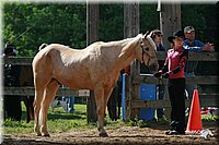 4H-Fun-Show-2006-0048.jpg