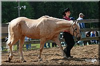 4H-Fun-Show-2006-0050.jpg