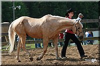 4H-Fun-Show-2006-0051.jpg