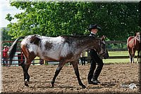 4H-Fun-Show-2006-0054.jpg