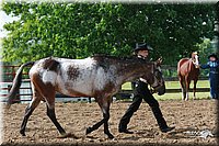 4H-Fun-Show-2006-0055.jpg