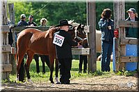 4H-Fun-Show-2006-0057.jpg