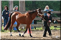 4H-Fun-Show-2006-0058.jpg